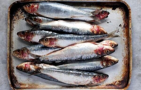 Trung bình 2 con cá mòi sẽ có thể cung cấp được 12% giá trị Vitamin D3 hàng ngày mà cơ thể