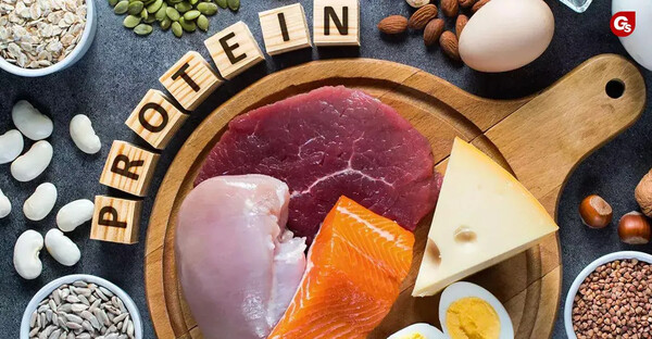 Protein là chất dinh dưỡng cần thiết cho một hệ miễn dịch khỏe mạnh