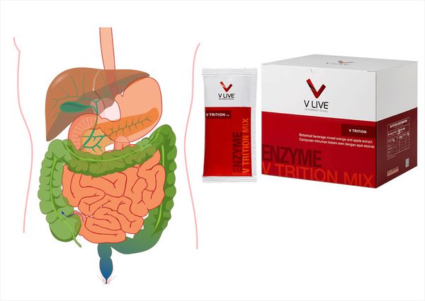 Uống V Trition - cách chữa rối loạn tiêu hóa ở người lớn nhanh nhất tại nhà