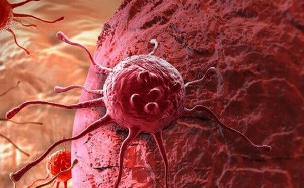 Ngăn ngừa hiệu quả sự phát triển các tế bào ung thư