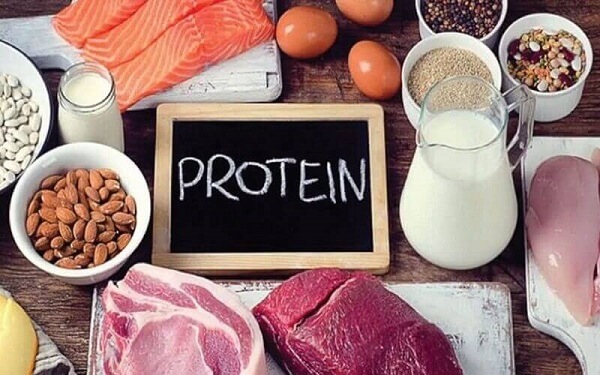 Protein - 1 trong 4 nhóm chất thiết yếu cho cơ thể
