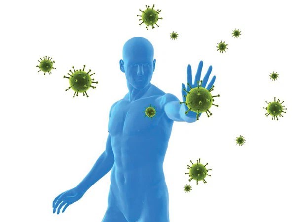 Hệ miễn dịch giúp con người chống lại các tác nhân gây bệnh