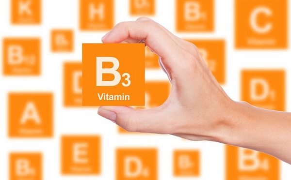 Vitamin B3 cần thiết nhập quy trình fake hóa của cơ thể