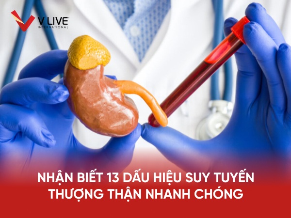 13 triệu chứng suy tuyến thượng thận & cách điều trị hiệu quả